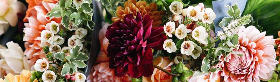 Florists, Floral Arrangements, Bouquets in the Souderton, Montgomery County PA area